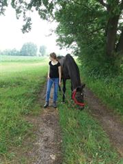 ein Mädchen, die mit einem Pferd auf einem Feldweg spazieren geht