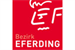 bhef_logo.jpg